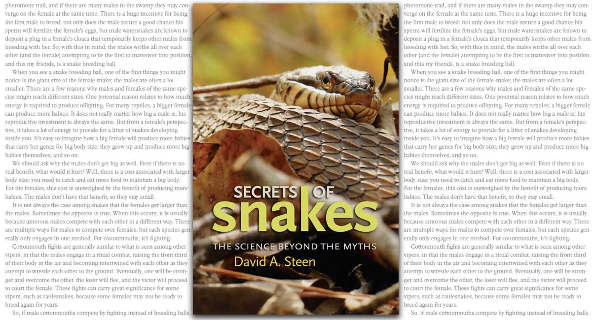 Secrets of Snakes: The Science beyond the Myths