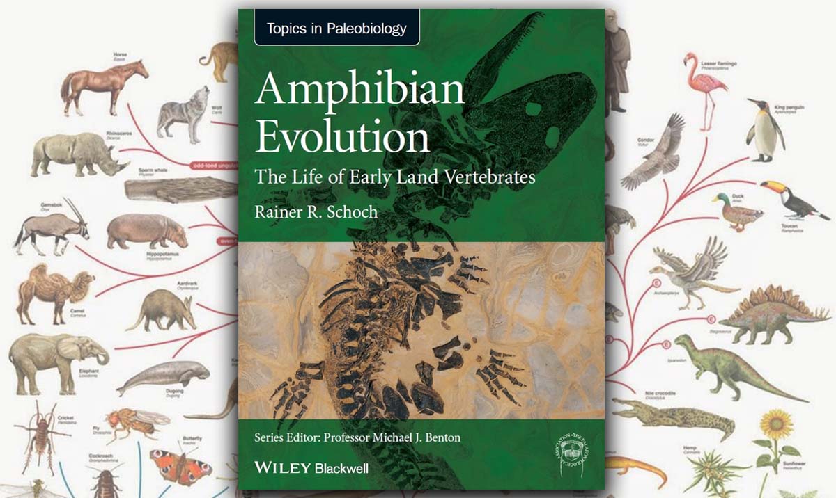 Amphibian Evolution: The Life of Early Land Vertebrates Amphibian Evolution: The Life of Early Land Vertebrates