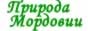 Природа Республики Мордовия Природа Республики Мордовия
