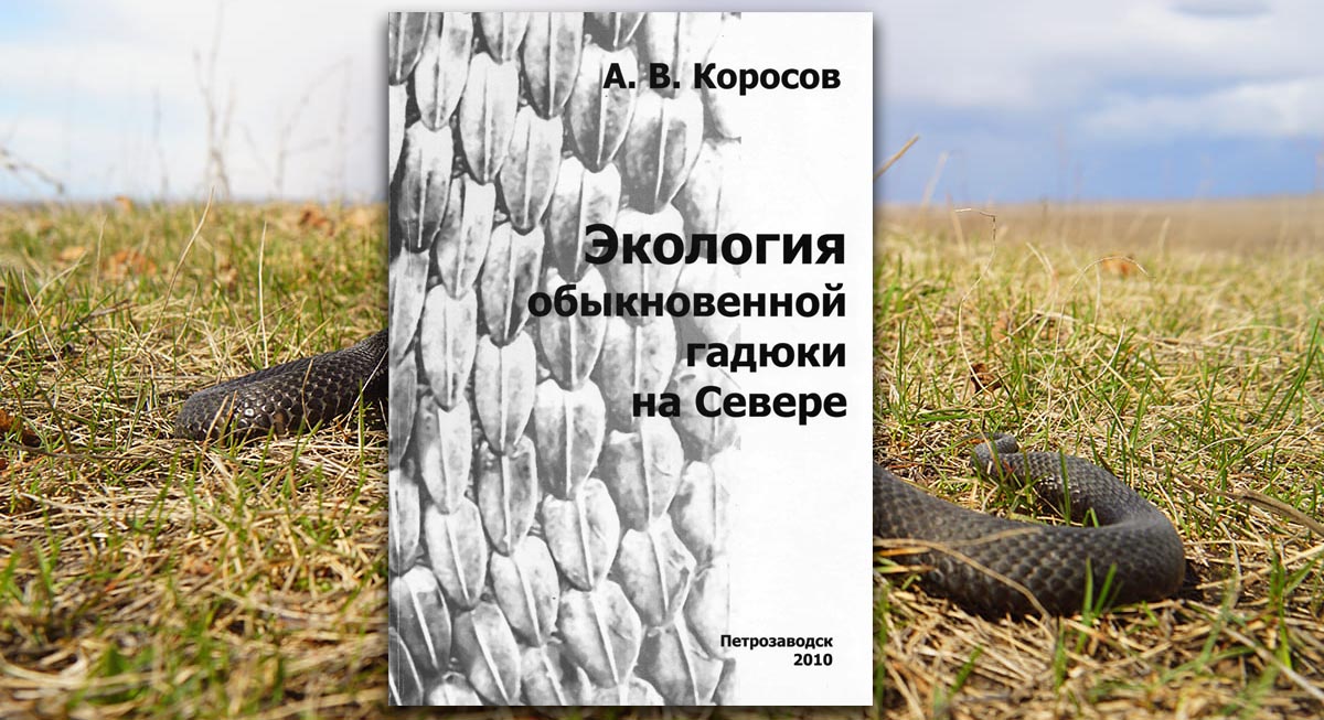 Экология обыкновенной гадюки (Vipera berus L.) на Севере