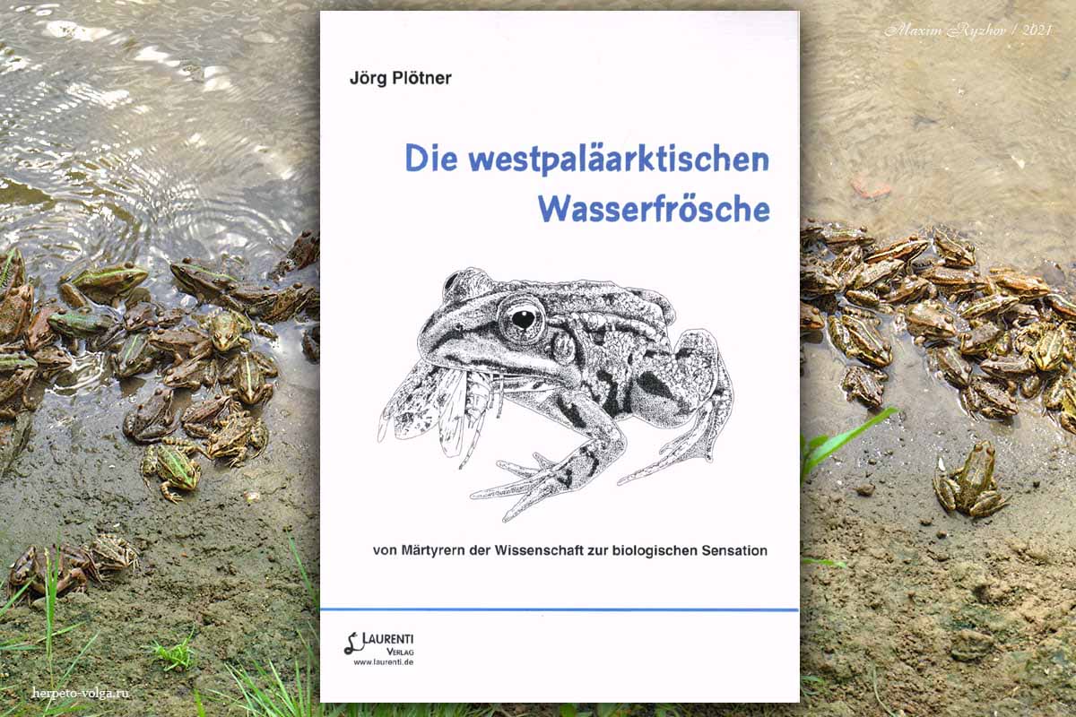 Die westpaläarktischen Wasserfrösche