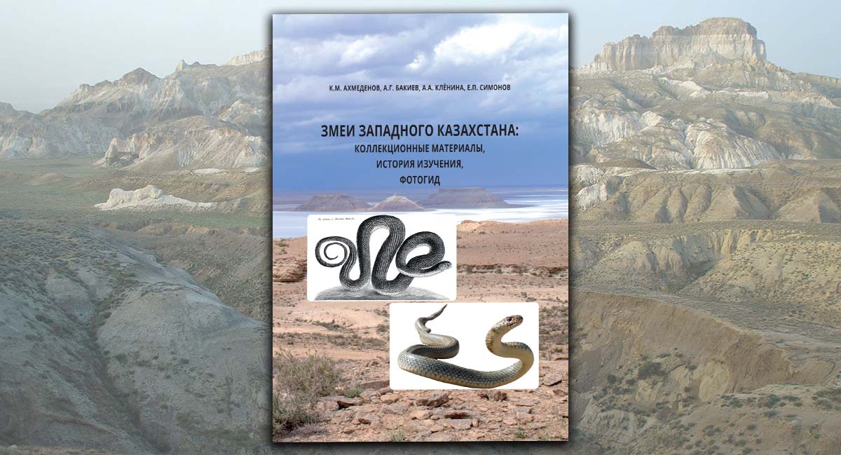 Змеи Западного Казахстана Змеи Западного Казахстана