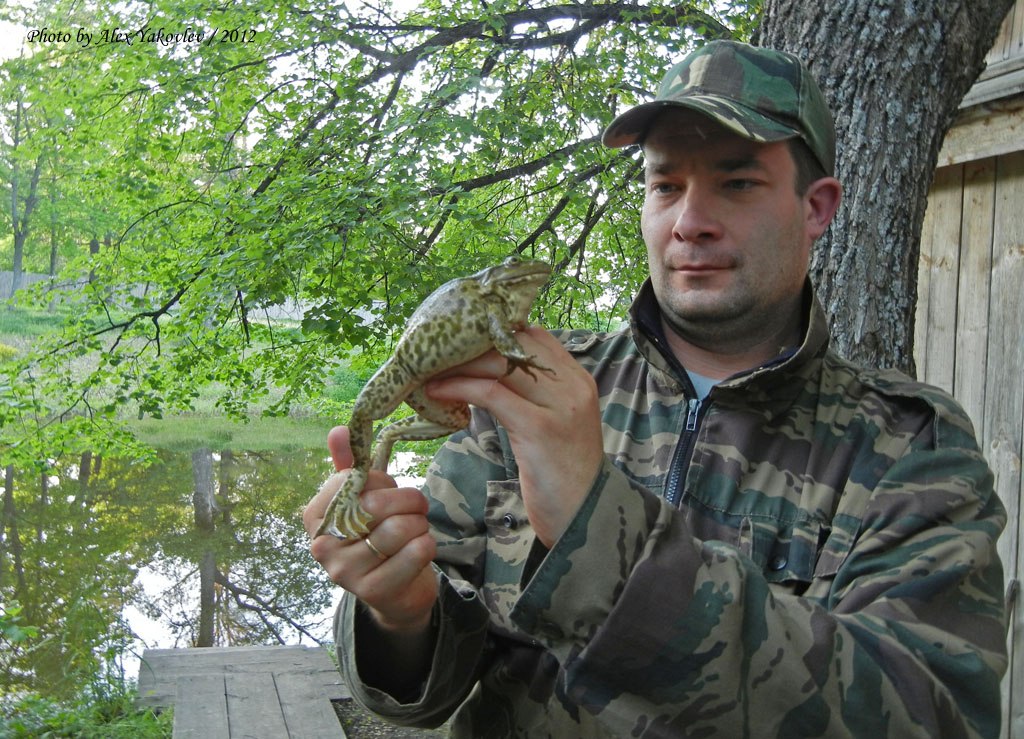 Чувашия. НП "Чаваш вармане", 2012