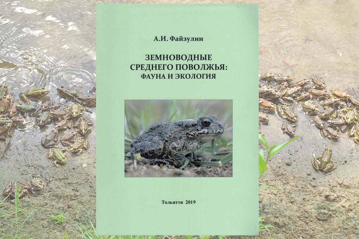 Земноводные Среднего Поволжья: фауна и экология