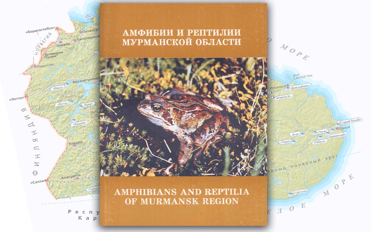 Амфибии и рептилии Мурманской области