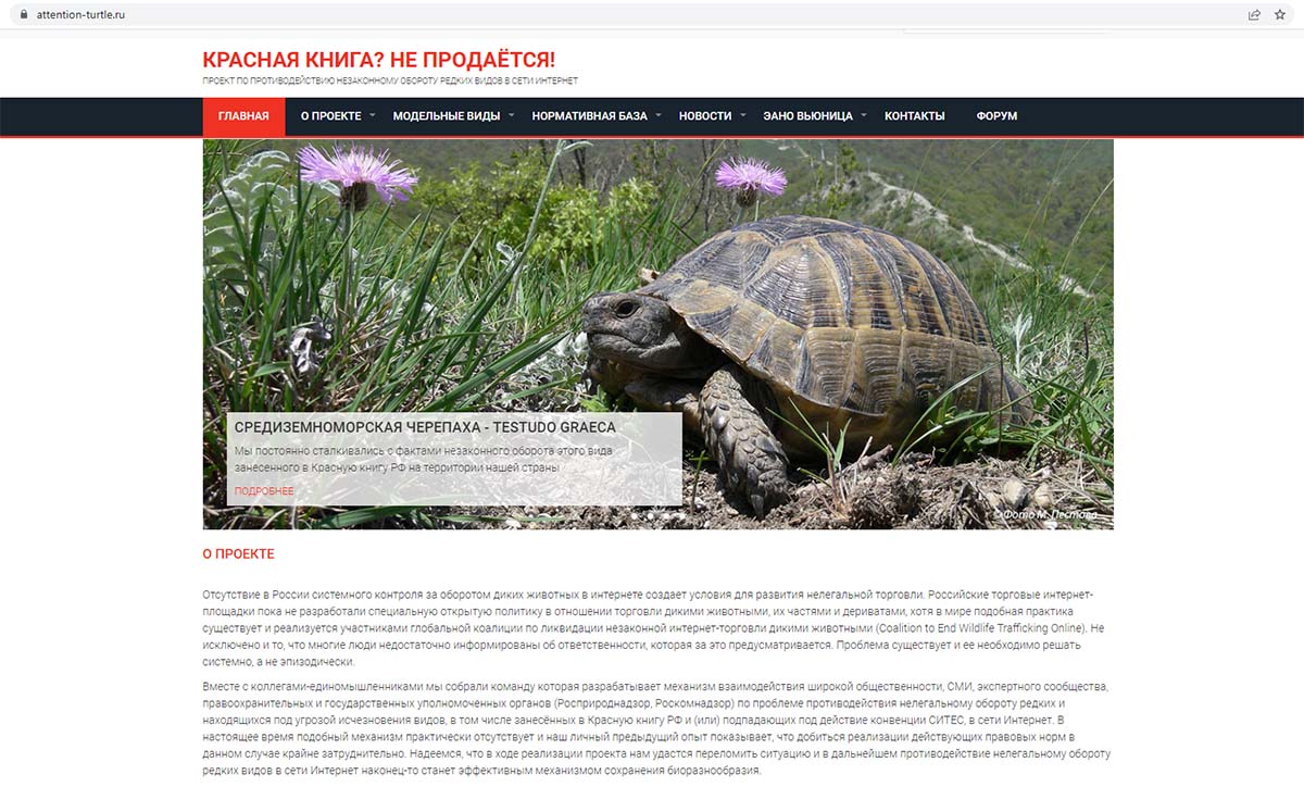 Проект «Красная книга? Не продается!»