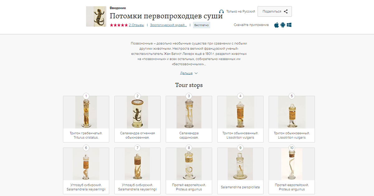 Онлайн выставка "Потомки первопроходцев суши" Онлайн выставка "Потомки первопроходцев суши"