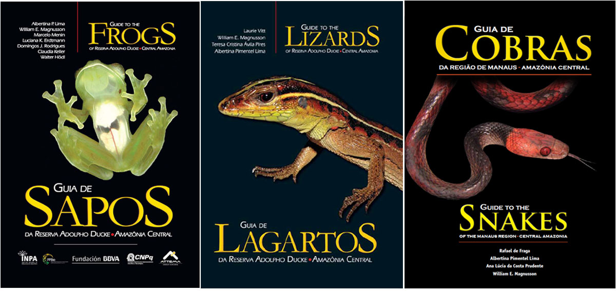 Herpetofauna of Central Amazonia