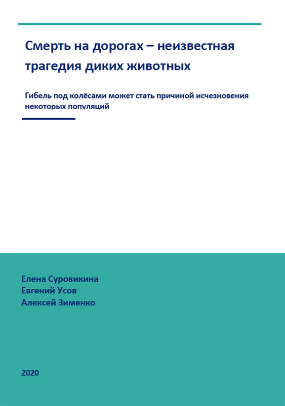 Смерть на дорогах – неизвестная трагедия диких животных