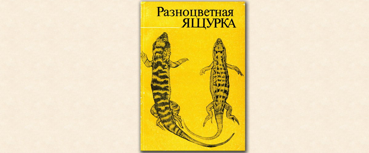 Разноцветная ящурка