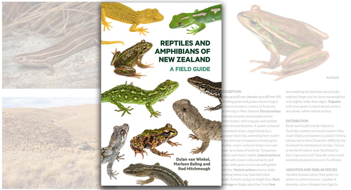 Reptiles and Amphibians of New Zealand: A Field Guide Reptiles and Amphibians of New Zealand: A Field Guide