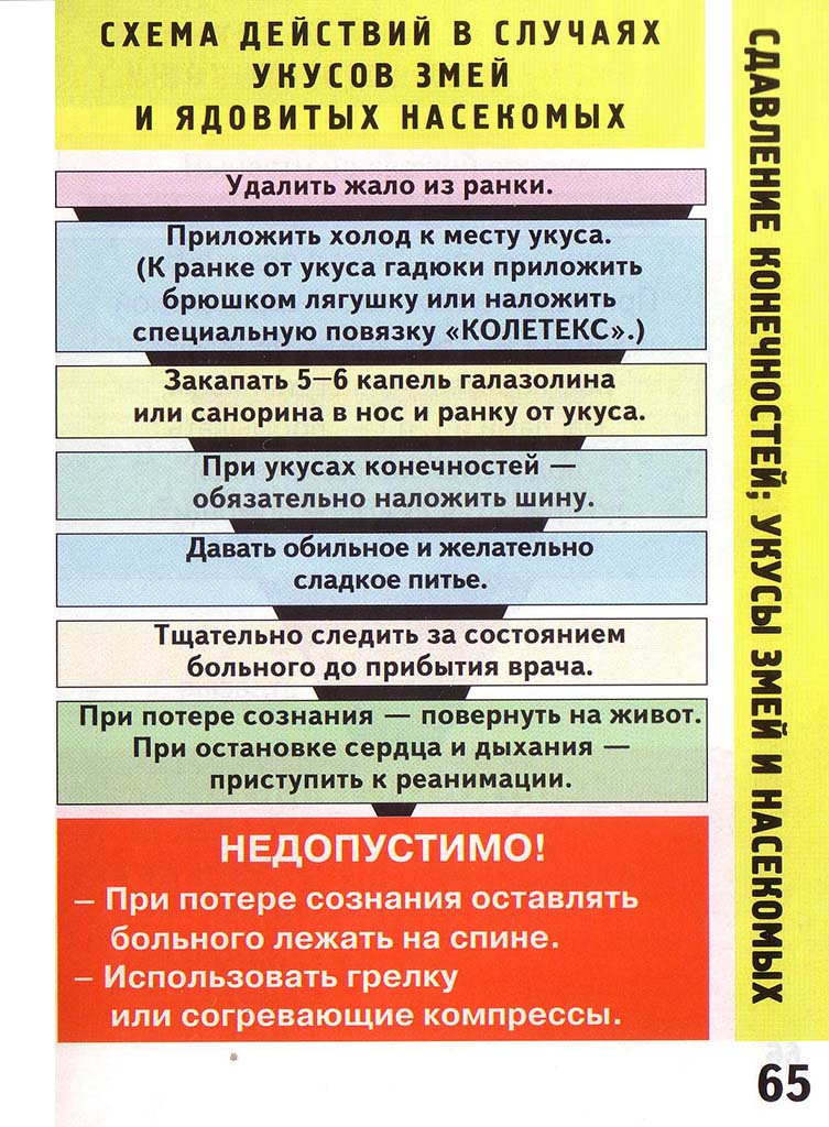 Что нужно делать, если укусила гадюка