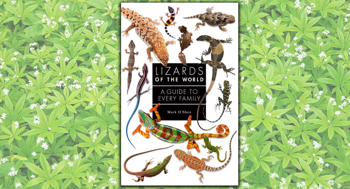 Lizards of the World. A Guide to Every Family