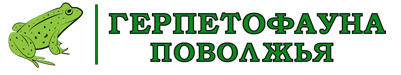 Герпетофауна Поволжья