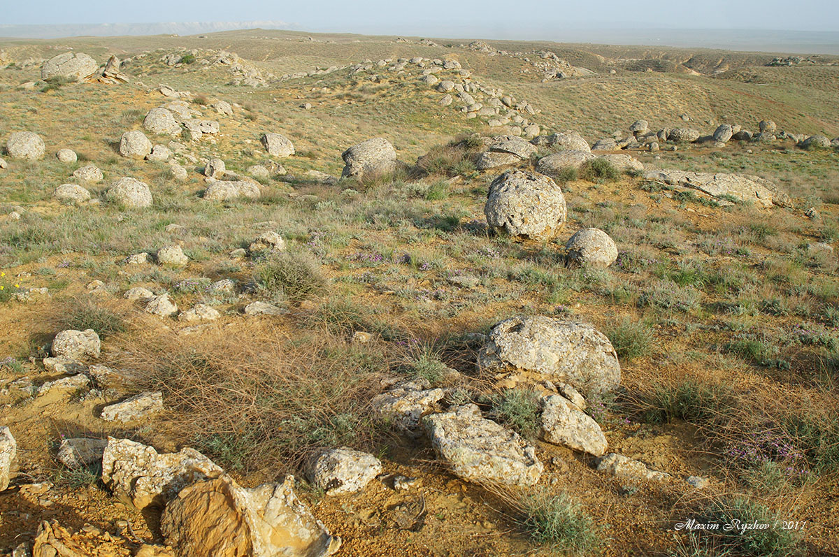Конкреции в Казахстане Конкреции в Казахстане