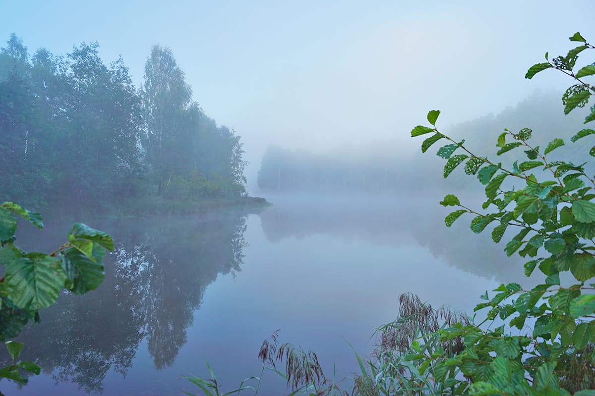 Туманное утро после ночного ливня Туманное утро после ночного ливня