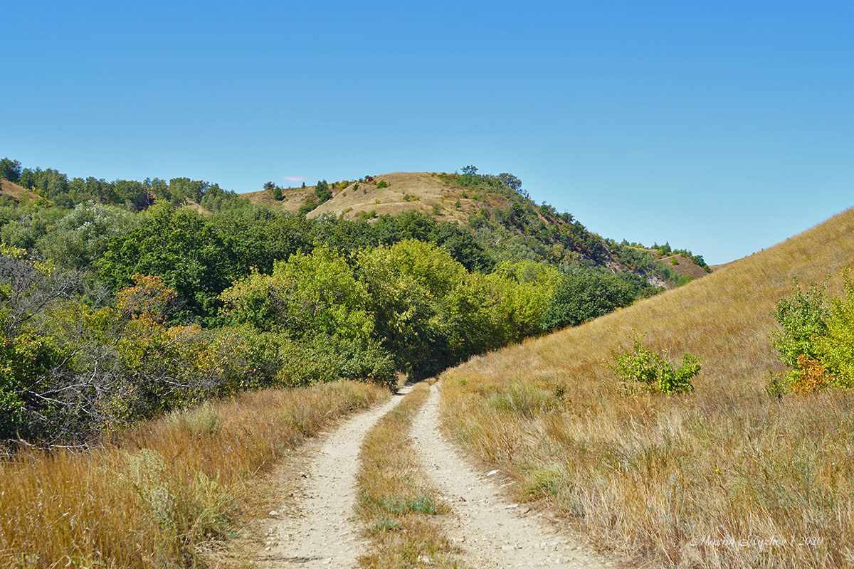 Вниз, по этой дороге, где-то среди деревьев находится Щербаковская балка Вниз, по этой дороге, где-то среди деревьев находится Щербаковская балка