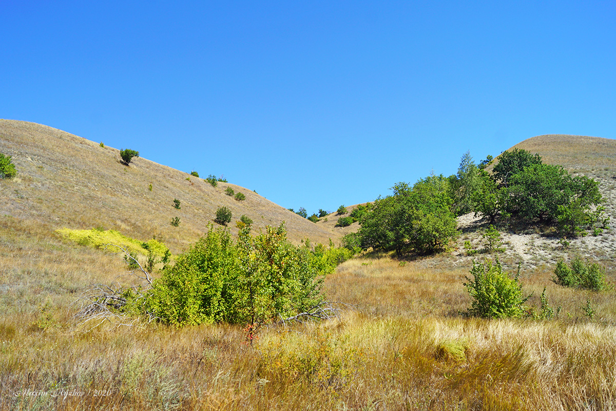 Щербаковская балка Щербаковская балка