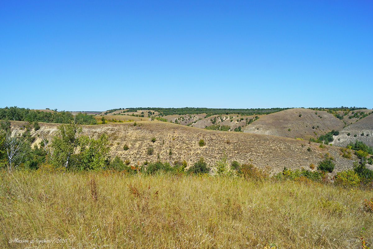 Щербаковская балка Щербаковская балка