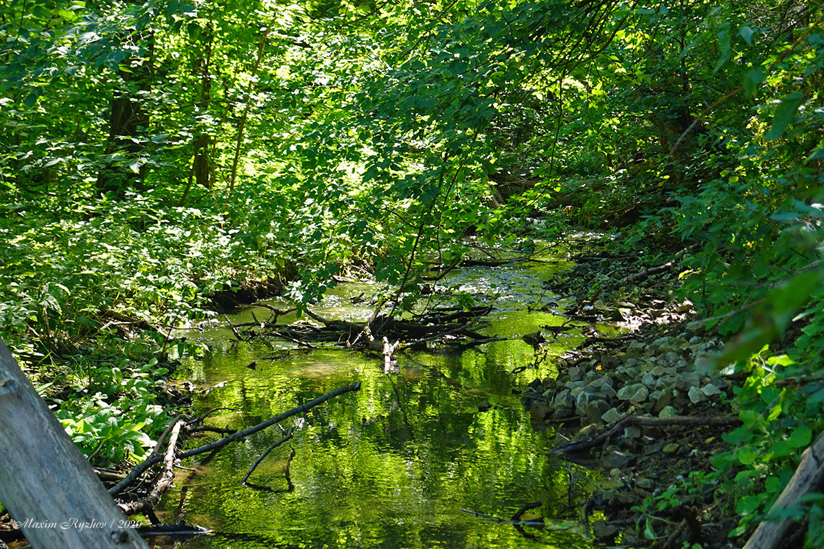 Речка Щербинка в Щербаковской балке Речка Щербинка в Щербаковской балке