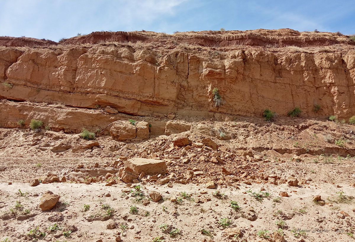 Окрестности пос. Цаган-Аман