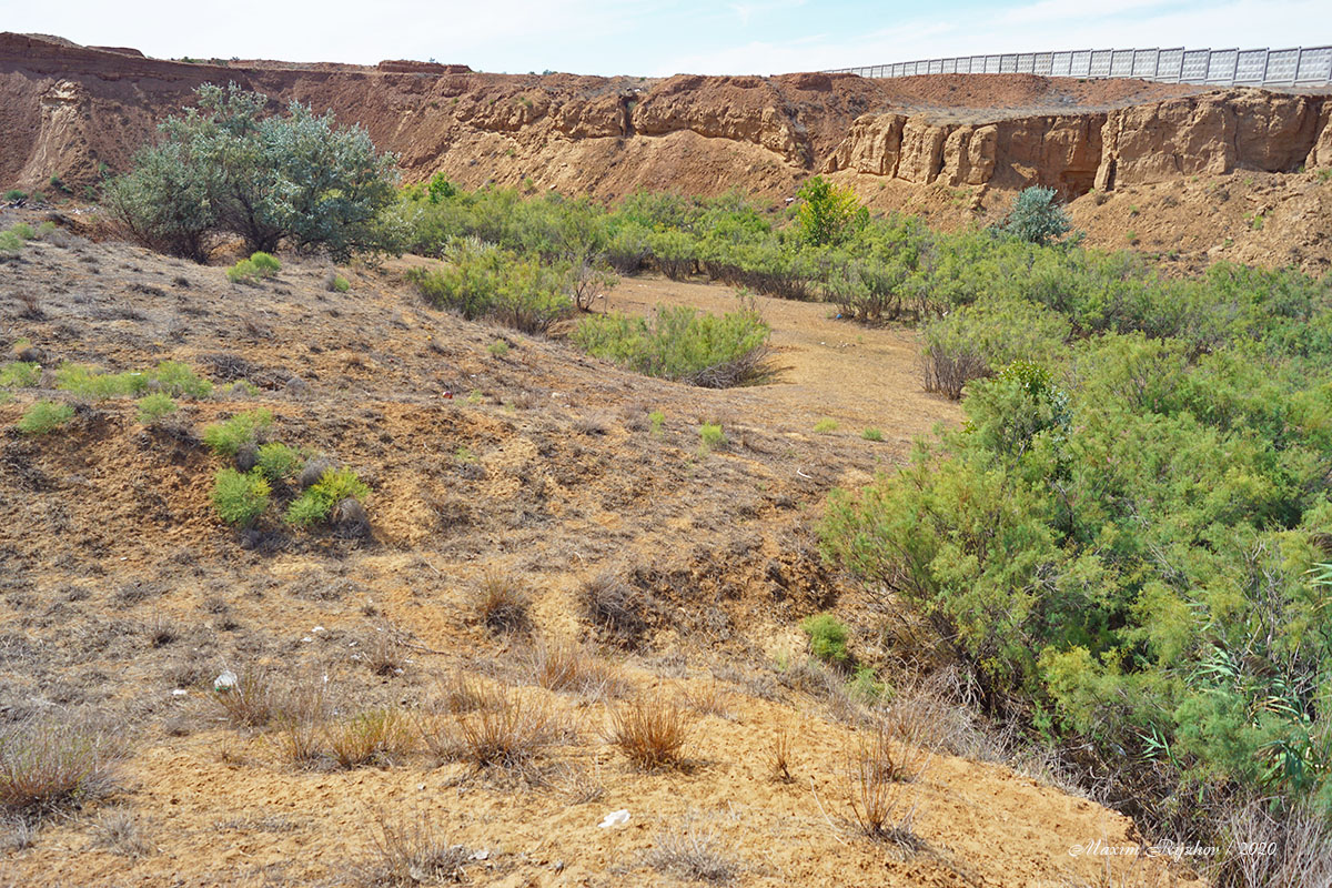 Окрестности пос. Цаган-Аман