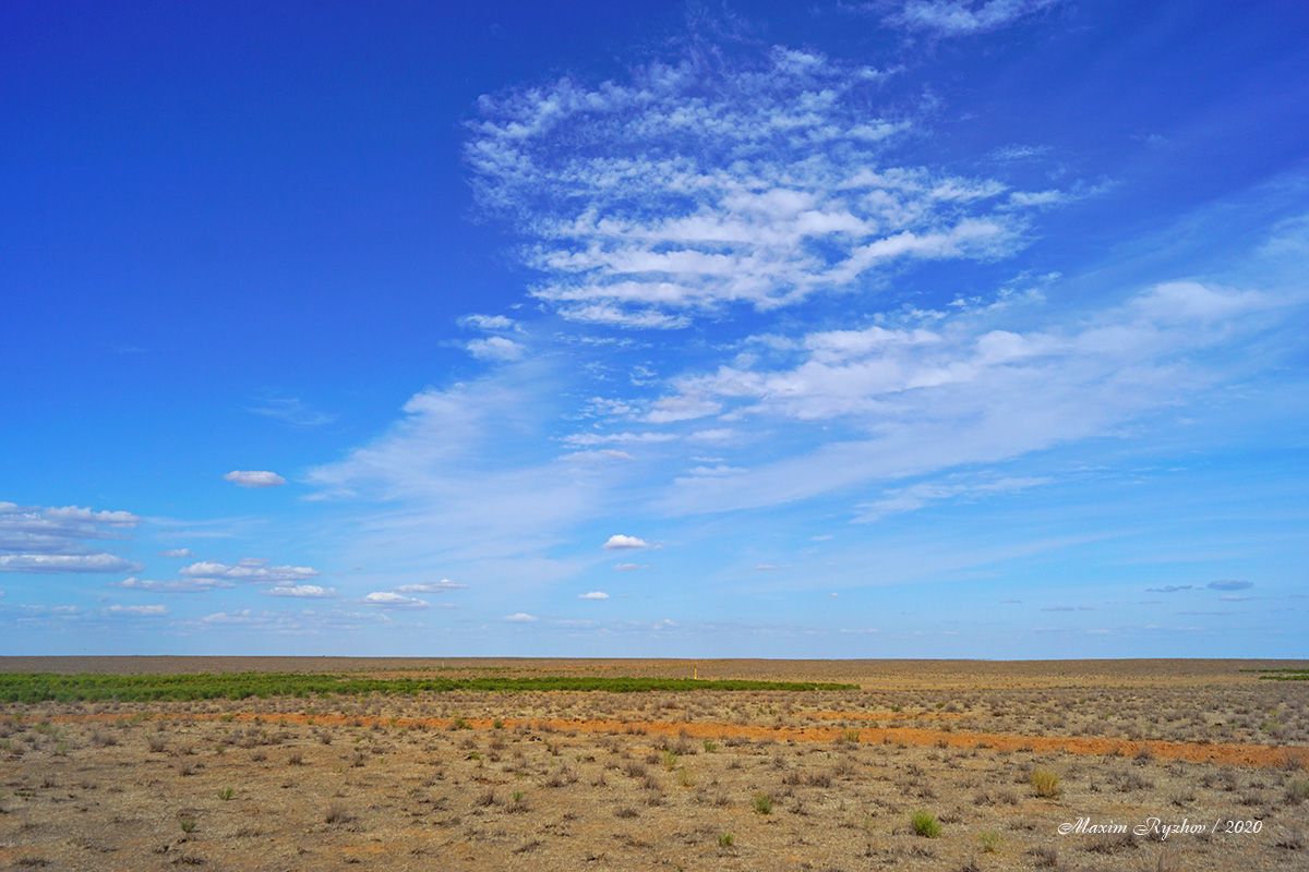 Степь на повороте в сторону пос. Бергин (Калмыкия)