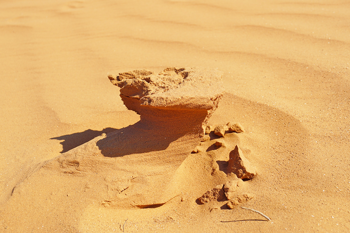 Пустыня в окр. пос. Бергин (Калмыкия)