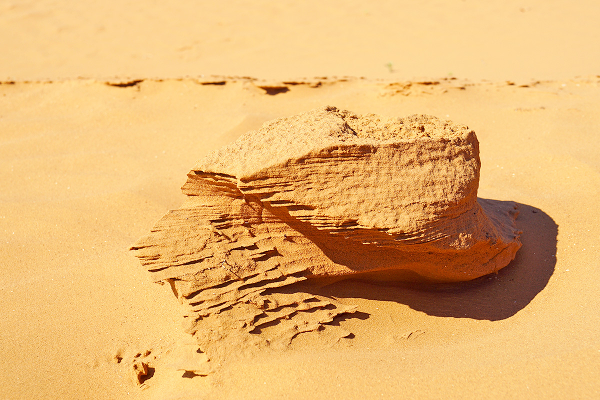 Пустыня в окр. пос. Бергин (Калмыкия)