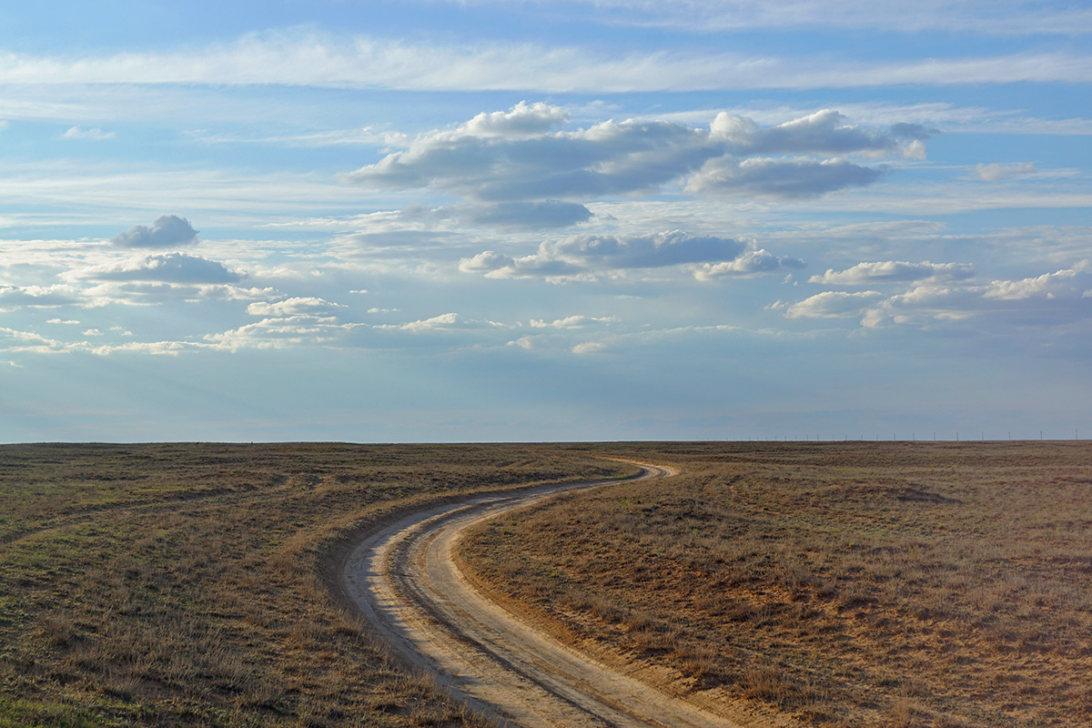 Дорога на пос. Бергин (Калмыкия)