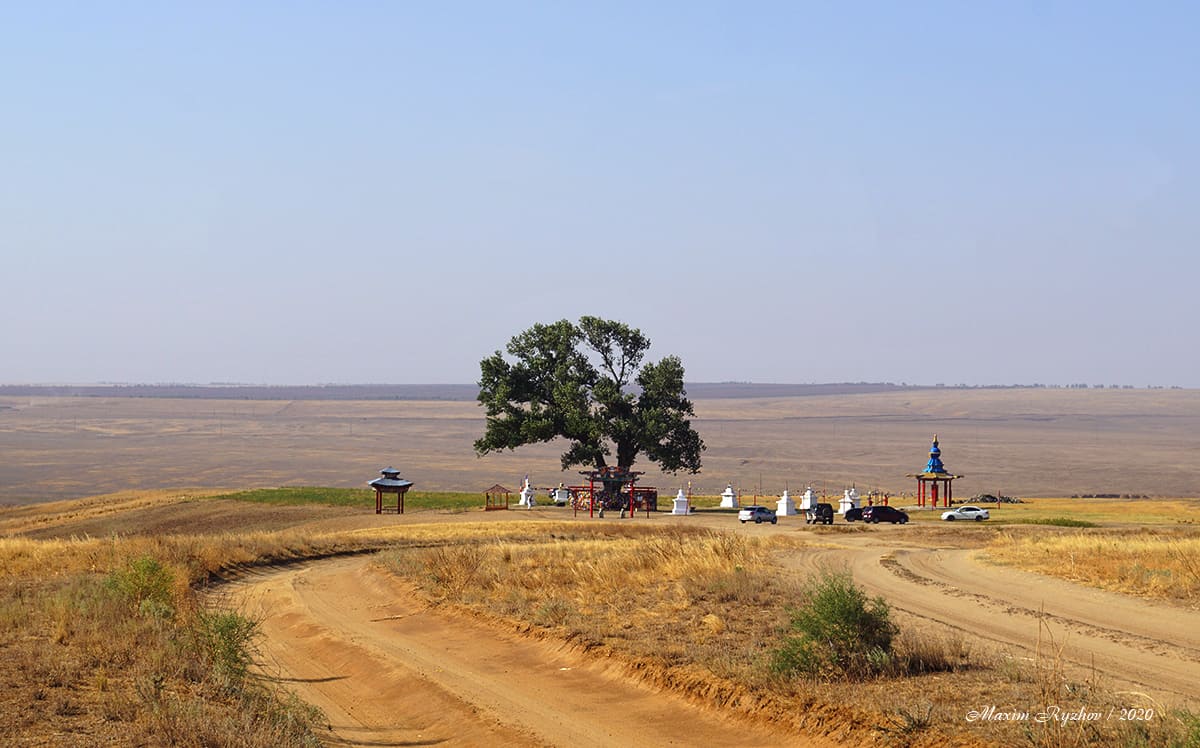 Одинокий тополь / Калмыкия