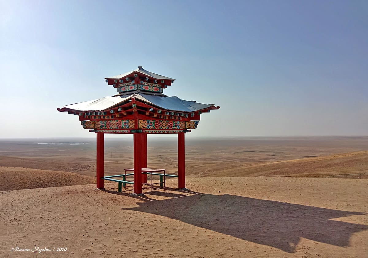 Одинокий тополь / Калмыкия