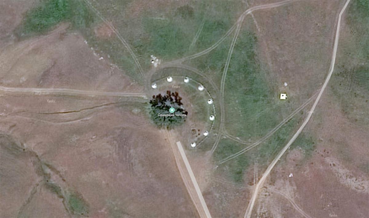 Одинокий тополь / Калмыкия