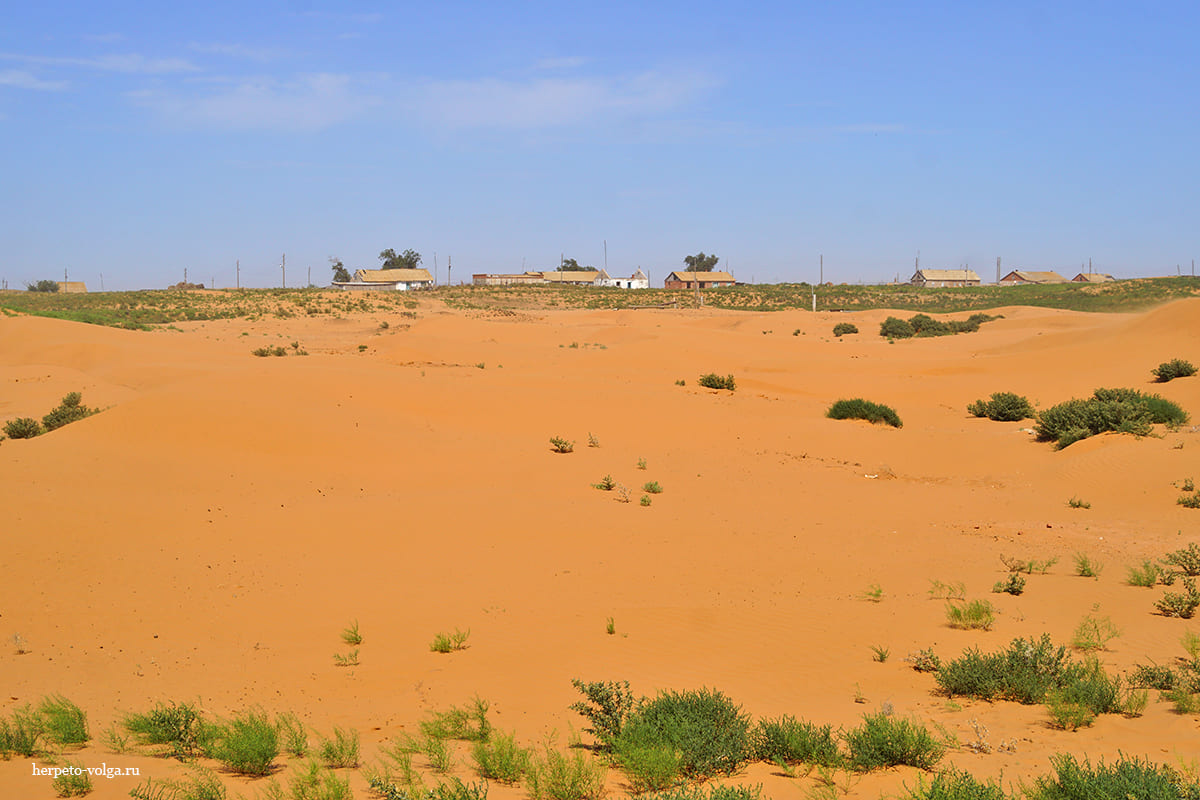 Поселок Барханы (Астраханская обл.)