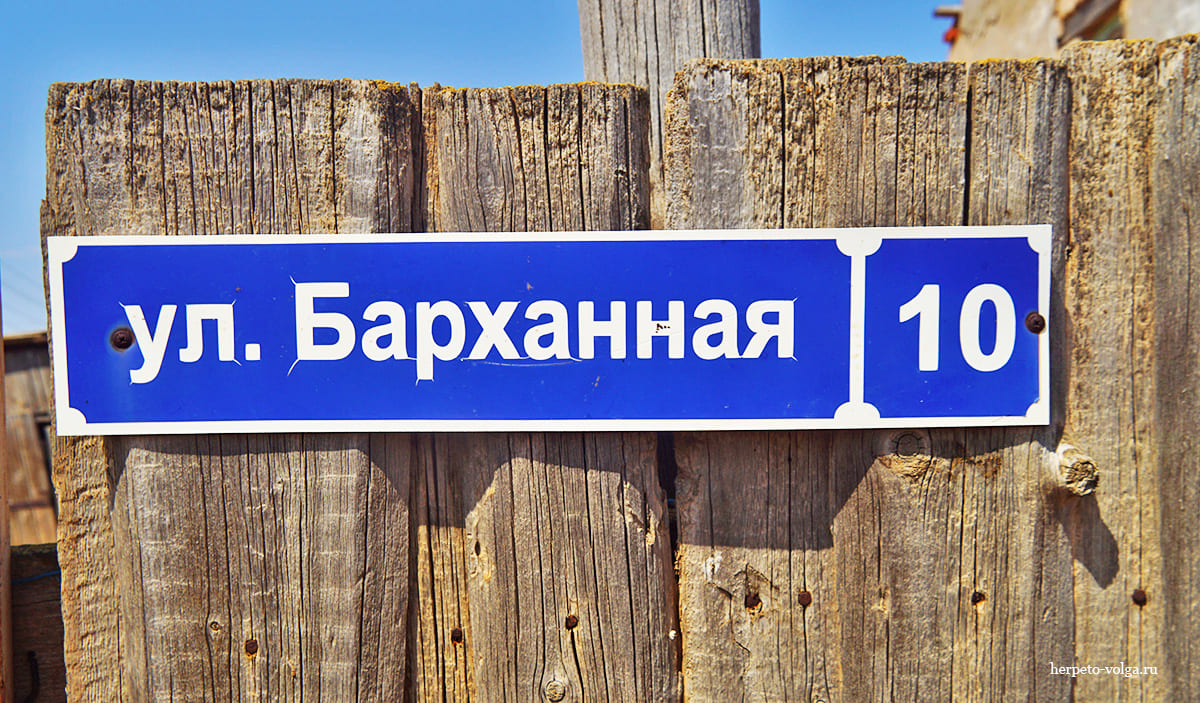 Поселок Барханы (Астраханская обл.)