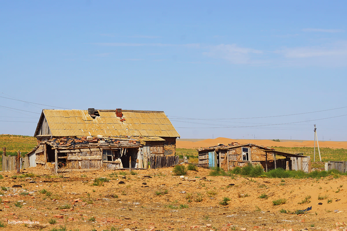 Поселок Барханы (Астраханская обл.)