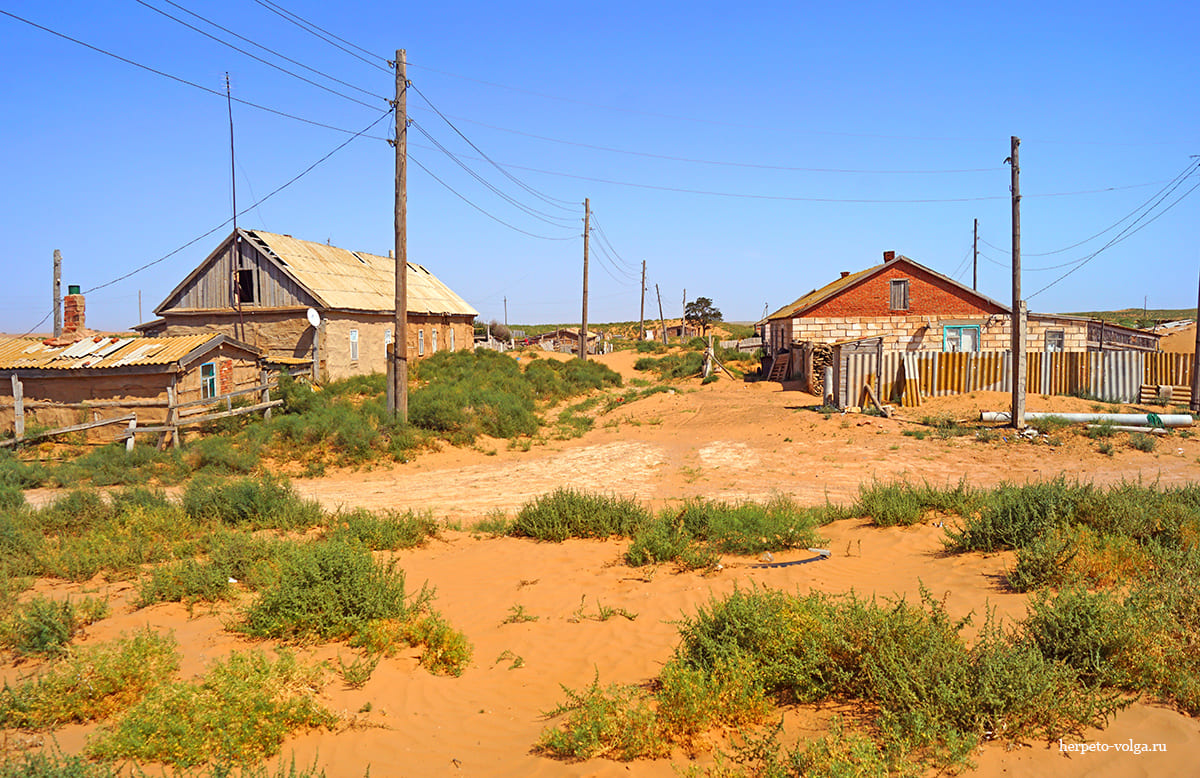 Поселок Барханы (Астраханская обл.)
