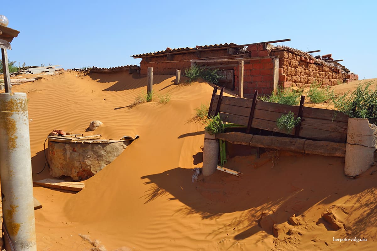 Поселок Барханы (Астраханская обл.)