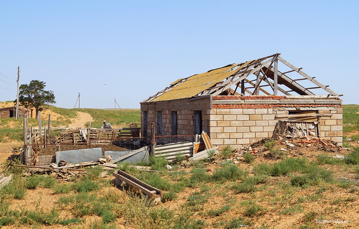 Поселок Барханы (Астраханская обл.)