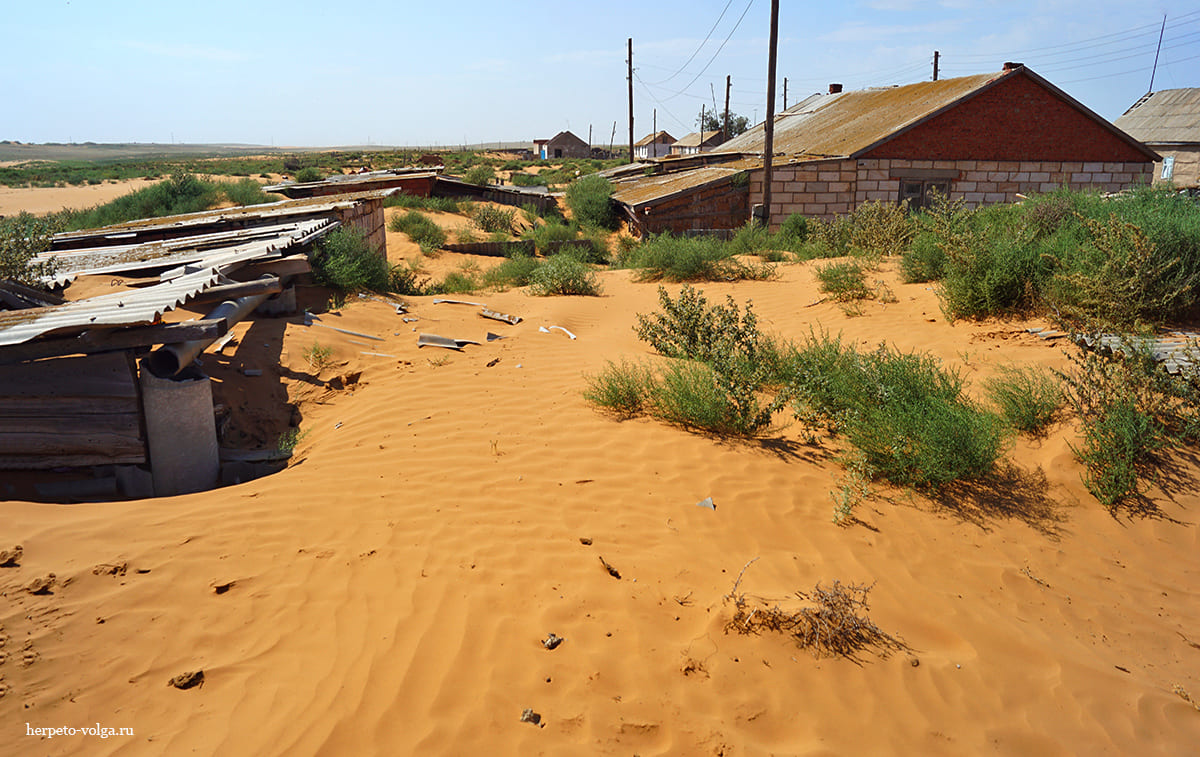 Поселок Барханы (Астраханская обл.)