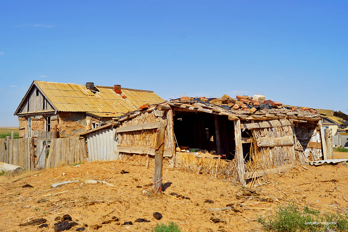 Поселок Барханы (Астраханская обл.)