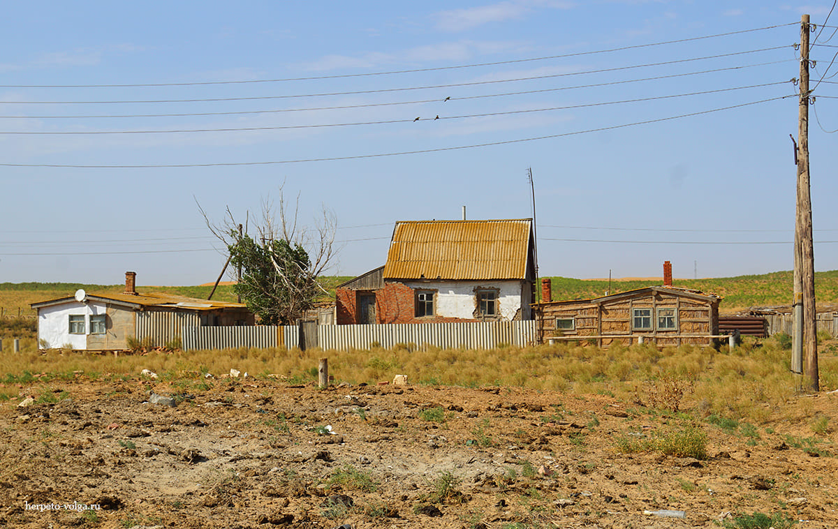 Поселок Барханы (Астраханская обл.)