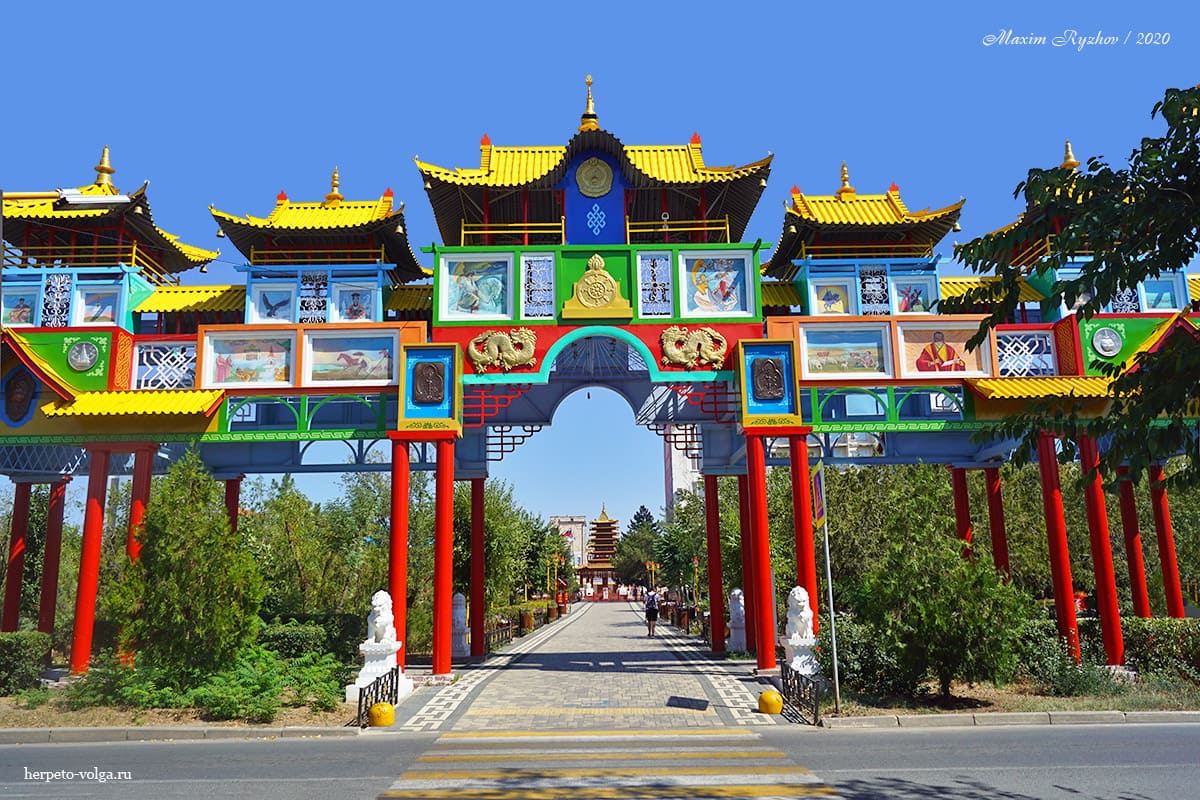 Золотые ворота - Алтн Босх (Элиста, Калмыкия)