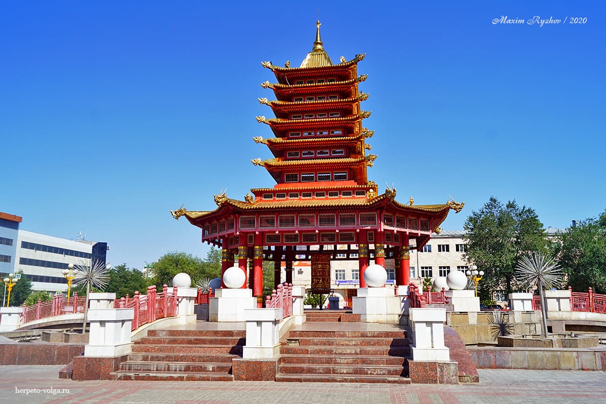 Пагода Семи Дней (Элиста, Калмыкия)