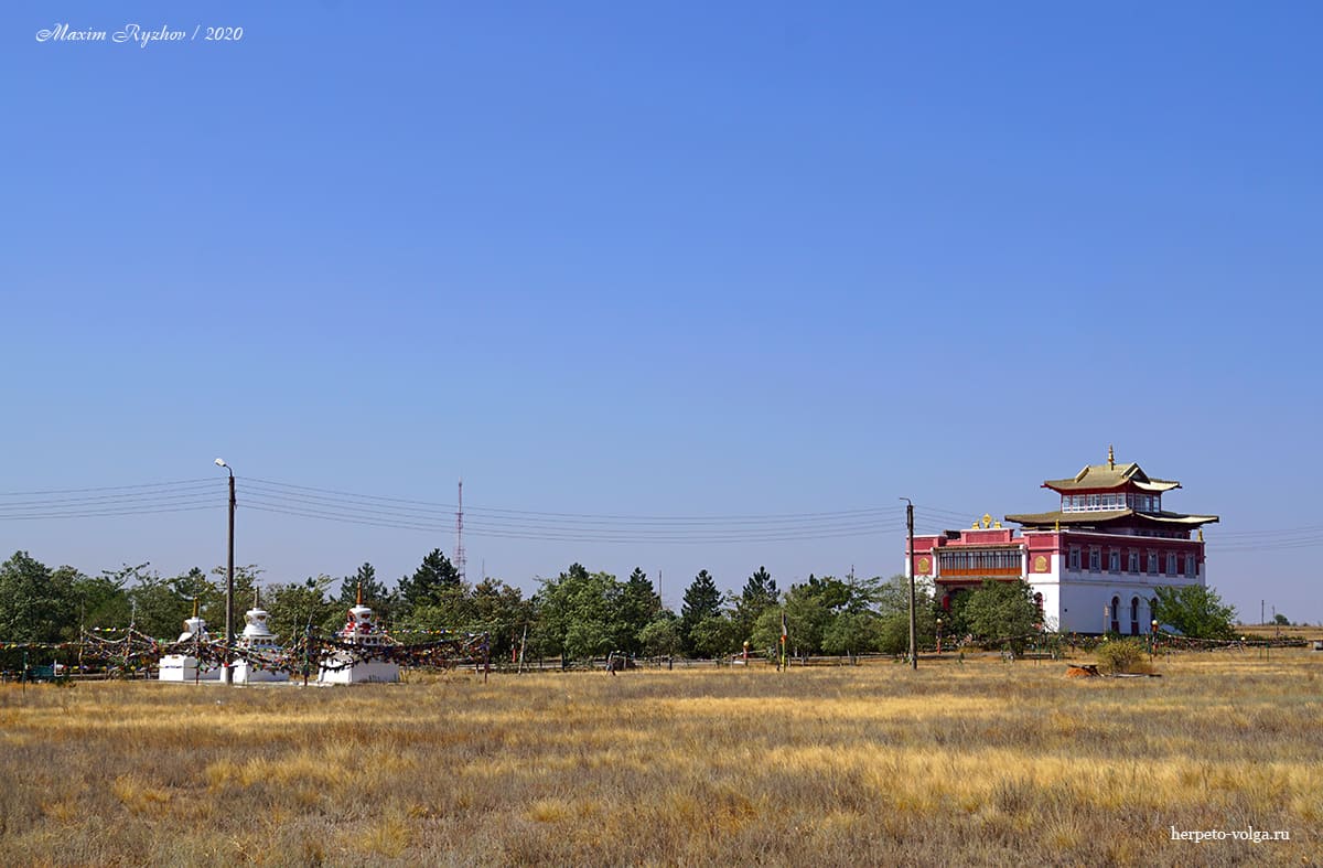 Старый хурул (Элиста, Калмыкия)