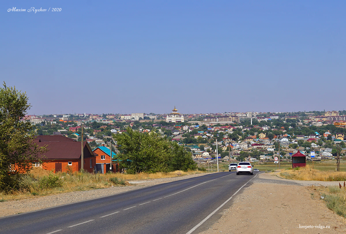 Вид на Золотая обитель Будды Шакьямуни при вьезде в Элисту