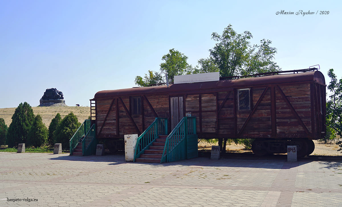 Исход и Возвращение (Элиста, Калмыкия)