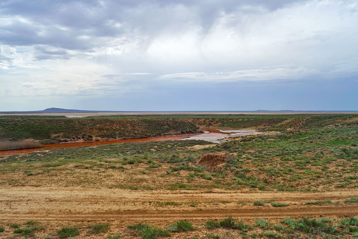 Горькая речка. Богдинско-Баскунчакский заповедник Горькая речка. Богдинско-Баскунчакский заповедник