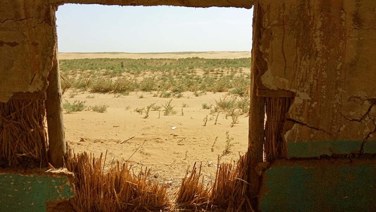 Поселок Барханы (Астраханская обл.)