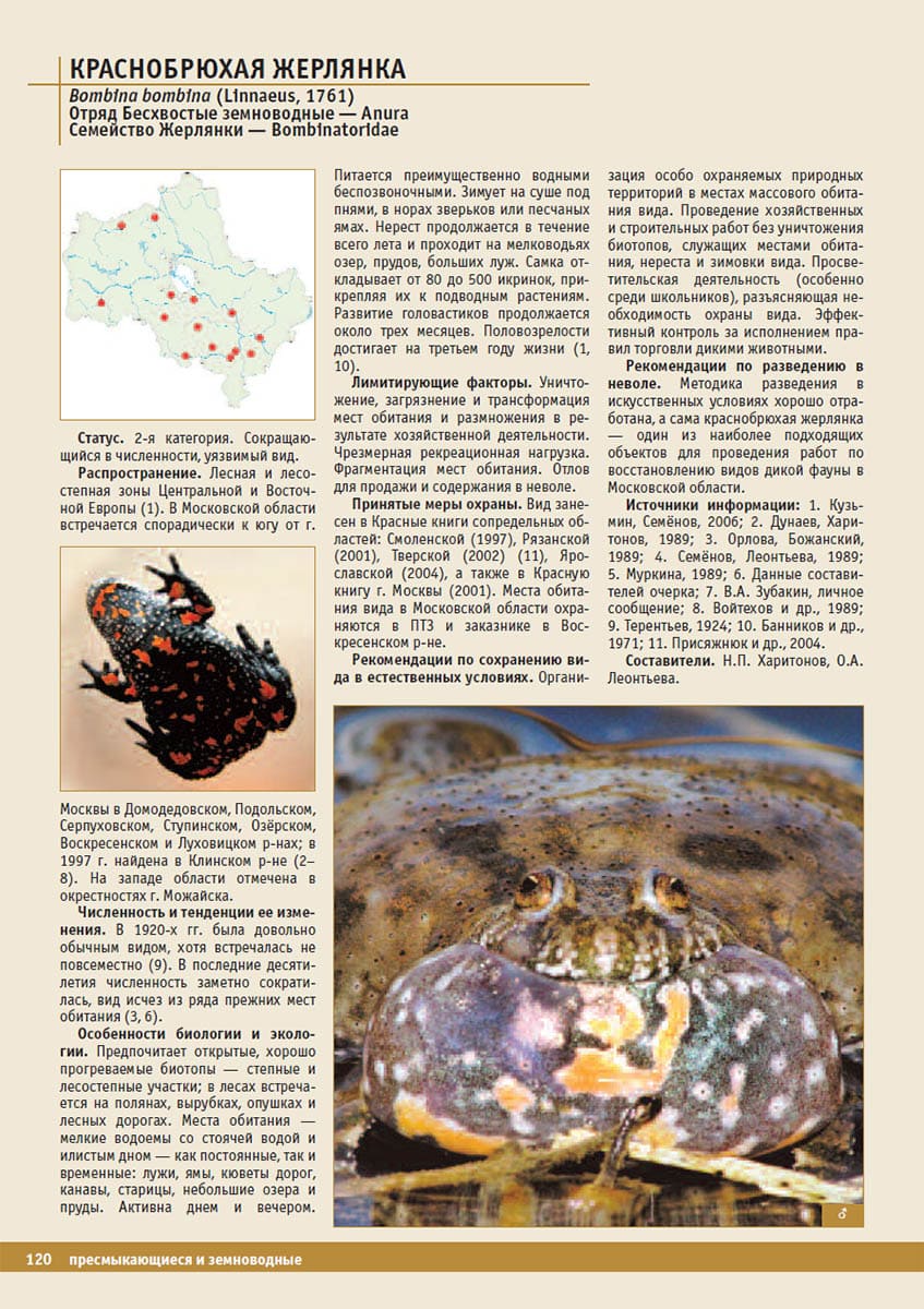 Краснобрюхая жерлянка (Bombina bombina). Красная книга Московской области, 2008